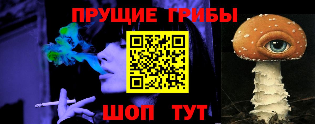Аксай  Галлюциногенные грибы прущие грибы  Вход с VPN 
